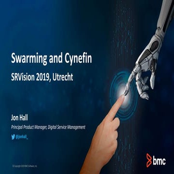 SRVision 2019, Utrecht: Swarming and Cynefin