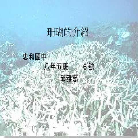珊瑚的介紹