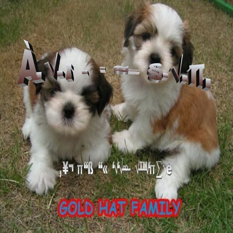 ห.ร.ม และ ค.ร.น.