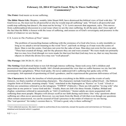 Ss 02 23 14 Job Sufferingmentary Docx