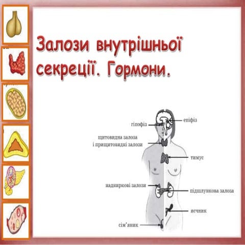 Залози  внутрішньої секреції. Гормони.