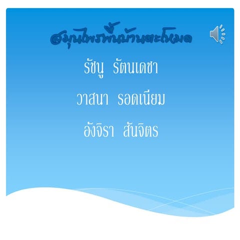 โครงงานสมุนไพรพื้นบ้านตะโหมด