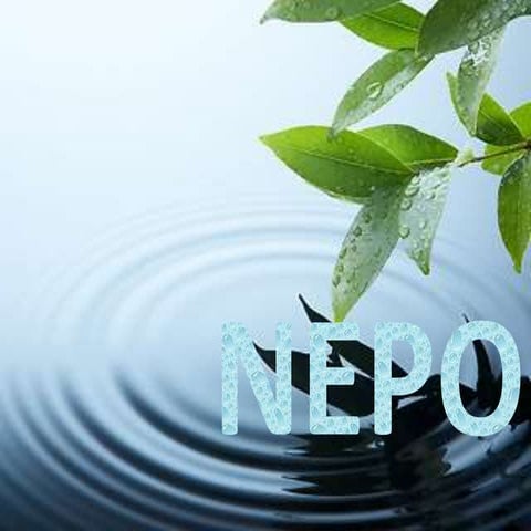 Το νερό στη ζωή μας