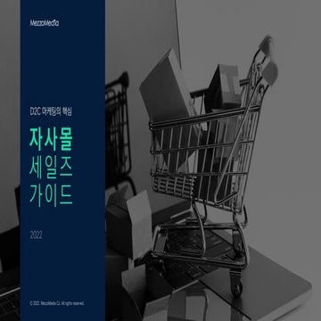 [메조미디어] 2022 자사몰 세일즈 가이드