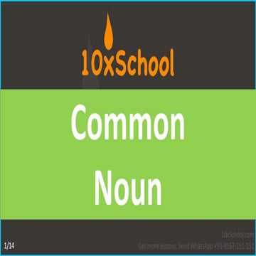 Common Noun