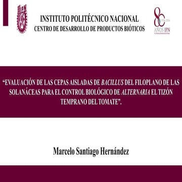Evaluación de las Cepas Aisladas de Bacillus.