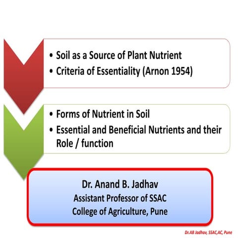 SSAC 353 Lecture no 3 &amp; 4 Arnon's criterion, role, deficiency, toxicity s...