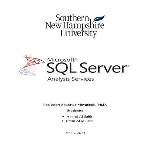SQL Server Analysis Services