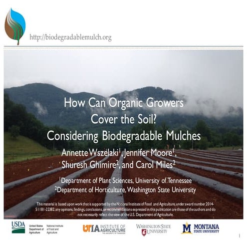 How can organic growers cover the soil? Considering biodegradable mulches