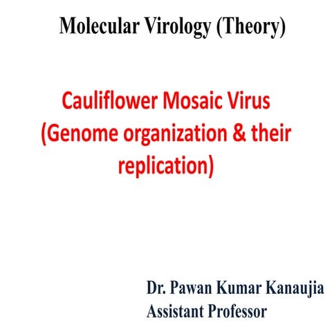 Cauliflower mosaic virus 
