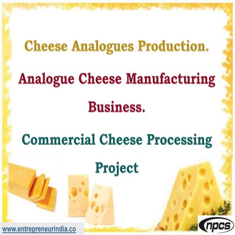 Cheese Analogues Production