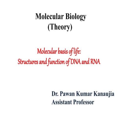 Molecular basis of life: Structures and function of DNA and RNA