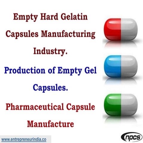 Empty Hard Gelatin Capsules Manufacturing Industry