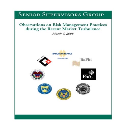 Ssg risk mgt_doc_final_2008