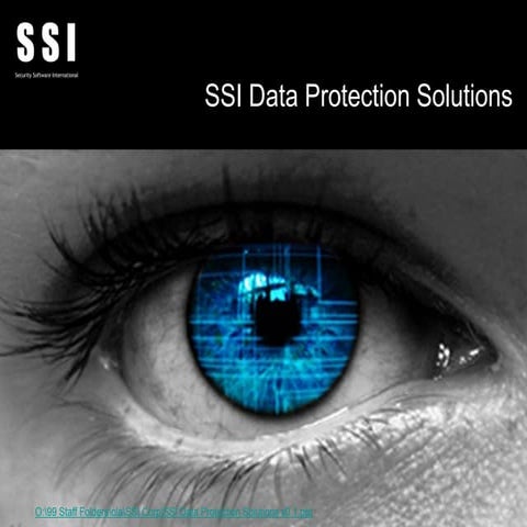 Ssi Data Protection Solutions V0.2