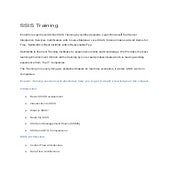 SSIS Training.pdf