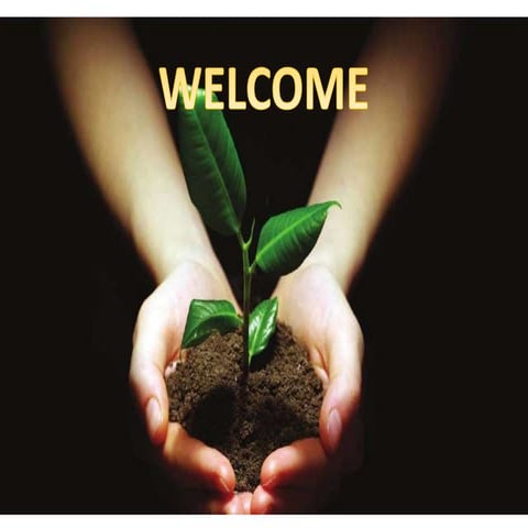 Site specific nutrient management