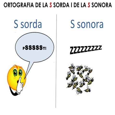 La S sorda i la S sonora