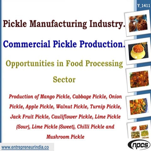 Pickle Manufacturing Industry