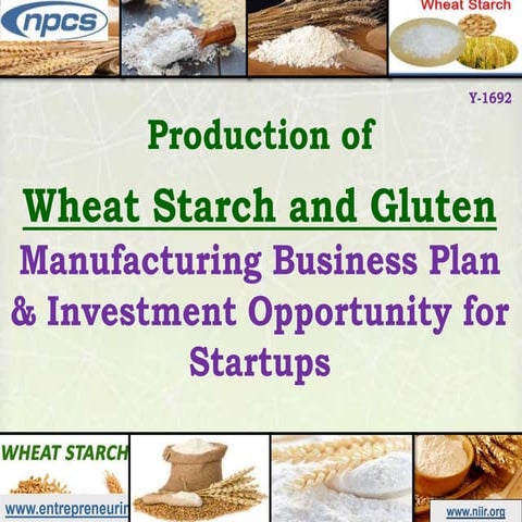 Production of Wheat Starch and Gluten