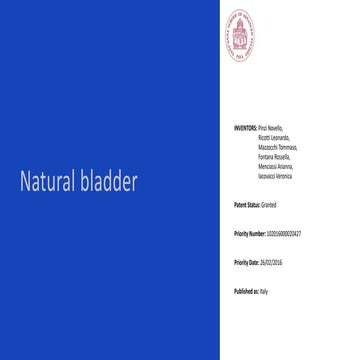 Natural bladder | PDF