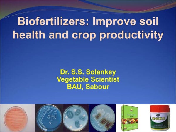 Types Of Biofertilizers Types Of Biofertilizers
