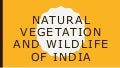 Natural Vegetation and wildlife of india