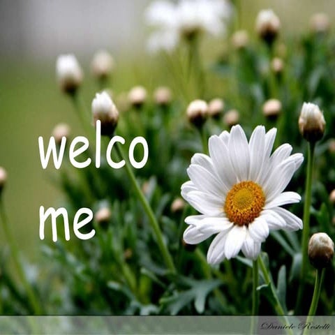 floral biology of tomato