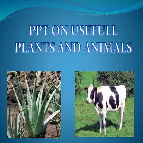 ppt on useful plants and animals | PPT