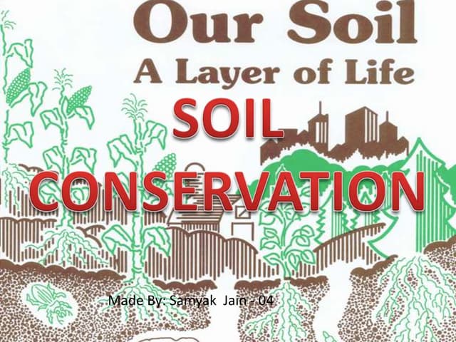 How Can People Conserve Soil
