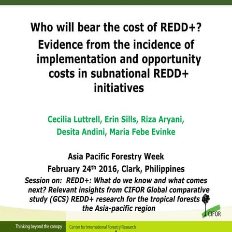 Who will bear the cost of REDD+? 