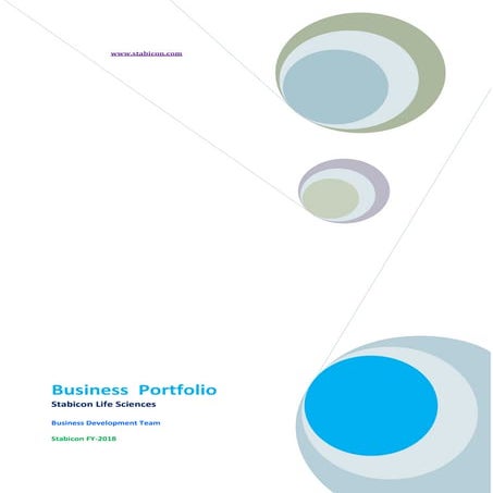 Stabicon Business Portfolio