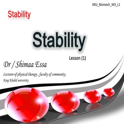 Stability | PPTX