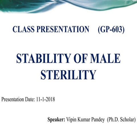 Stability in male sterility