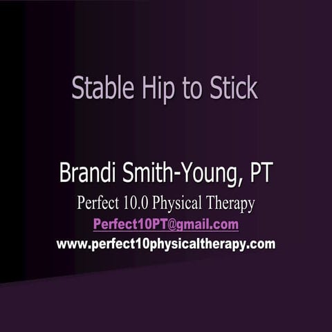 Stable Hip To Stick!
