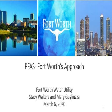 Texas Dam Safety, Warren Samuelson - TCEQ and Protecting Your Flood ...