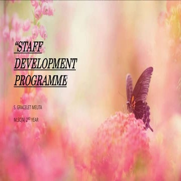 Staff development programme
