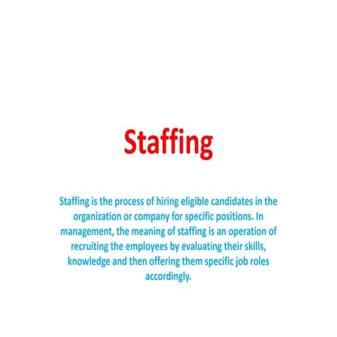 Staffing DEM.pptx