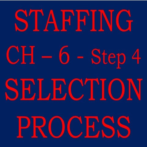 Staffing step 4 VIVA VVIT