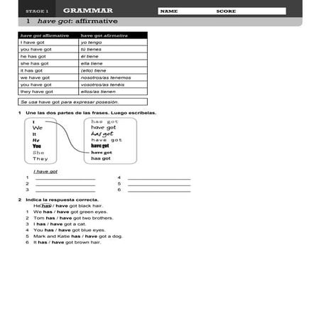 HAVE GOT (AFFIRMATIVE)