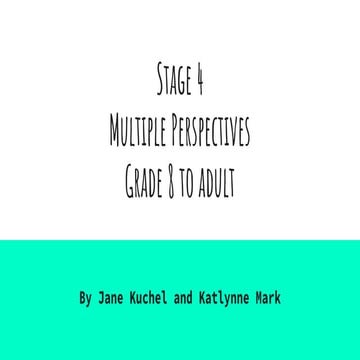 Stage 4 multiple perspectives