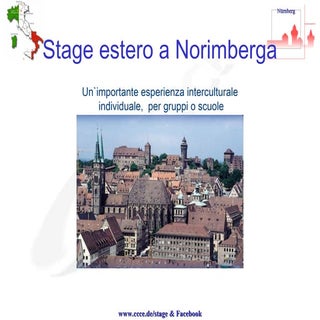 Stage esterr norinberga 2013
