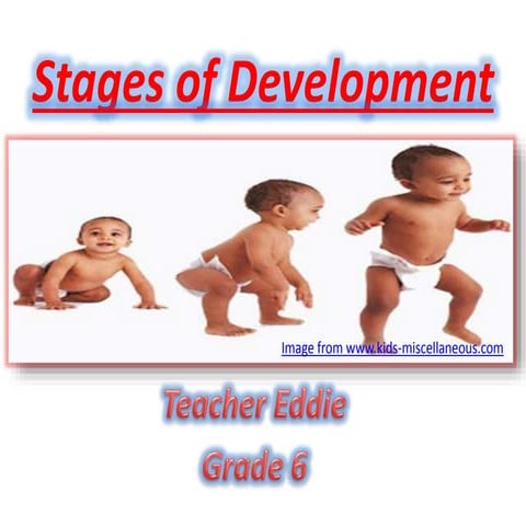 Stages of Development