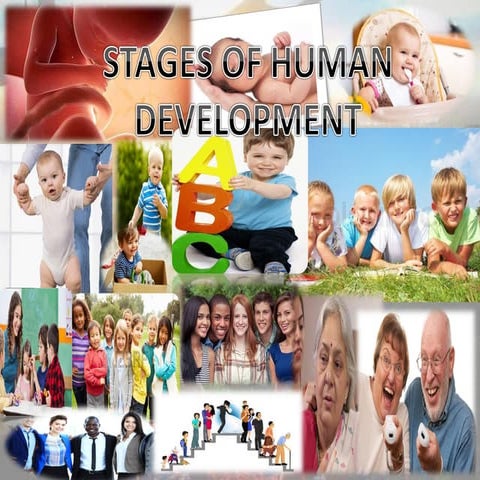 Stages of development 