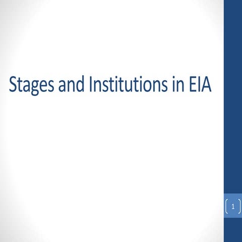 Stages of EIA
