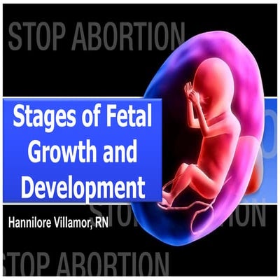 Stages of fetal growth and development