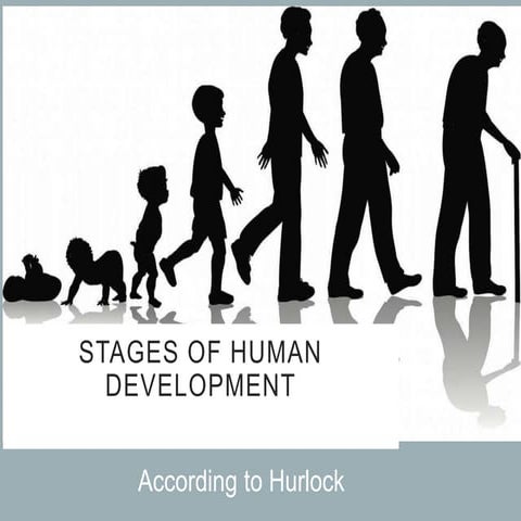Stages of Human development According to the Hurlock.