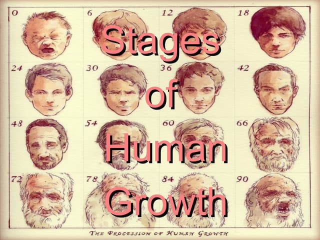 Stages of Human Growth (Pre-natal development - Senescence)