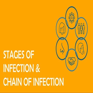 stages of infection and chain of infection | PPTX