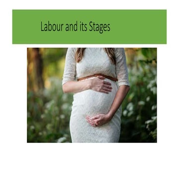 stages of labour.pptx